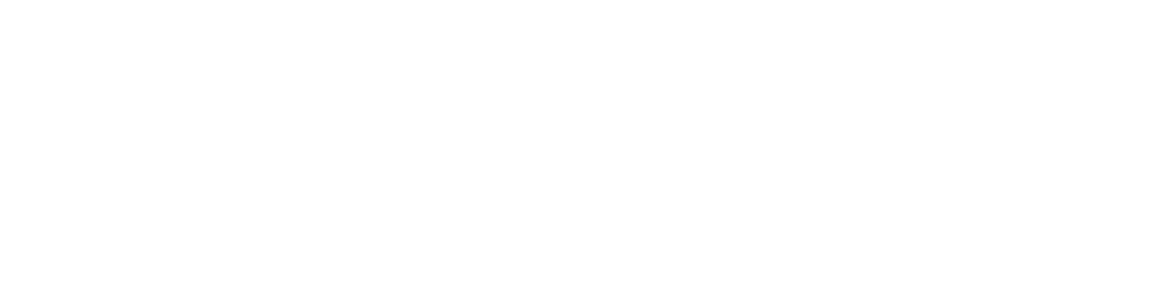 logo trips 0